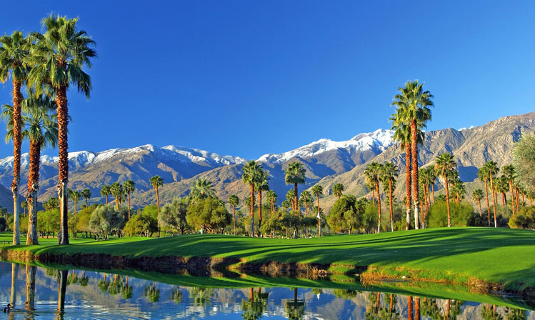 Babysitting Agency Palm Springs