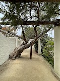 Memory Garden event venue for hotel babysitting, in-room childcare, and travel childcare in Monterey Park, CA