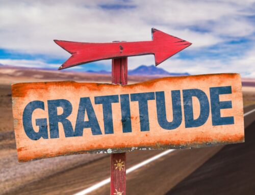 Gratitude Giving Thanks