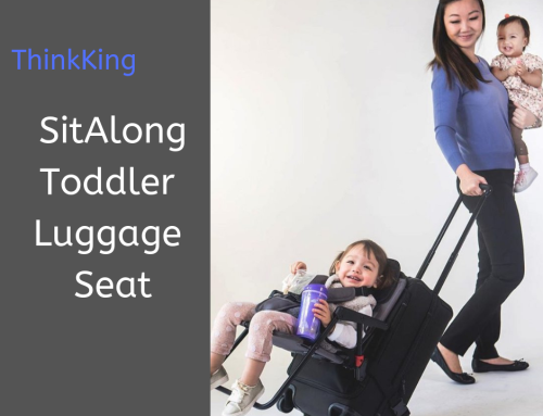 DS Likes: SitAlong Toddler Luggage Seat
