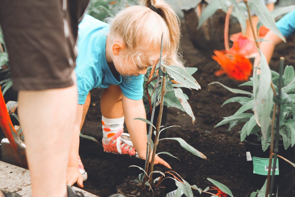 10 summer activities gardening 