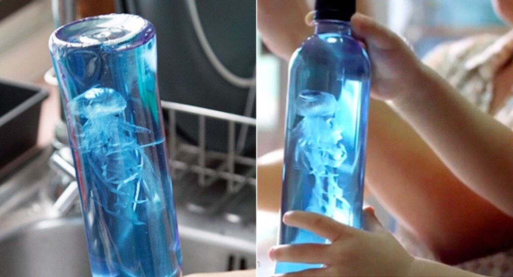 jellyfish-in-a-bottle