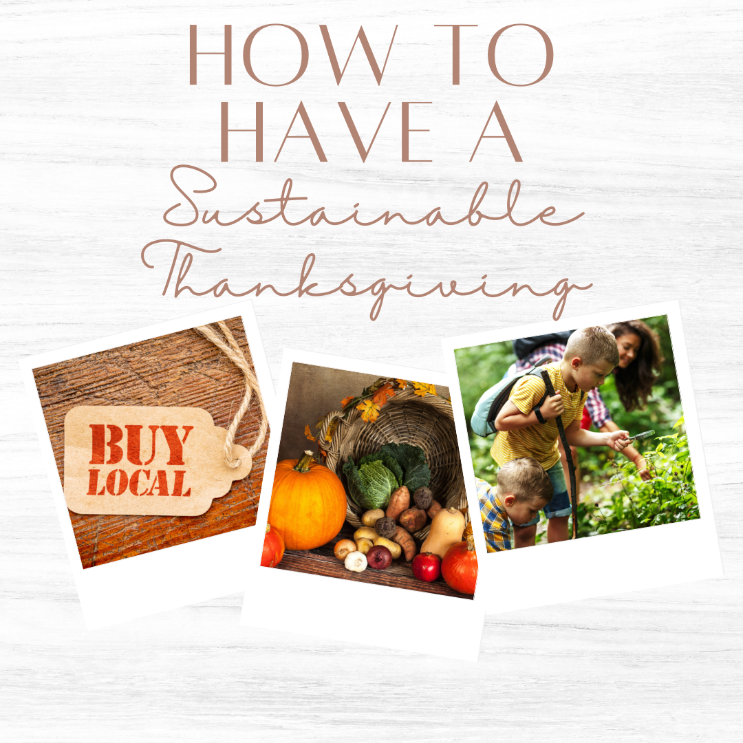 Tips for a Sustainable Thanksgiving