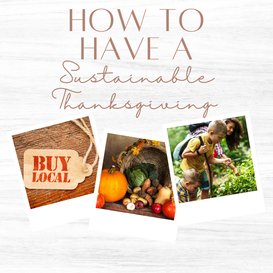 Sustainable Thanksgiving Tips