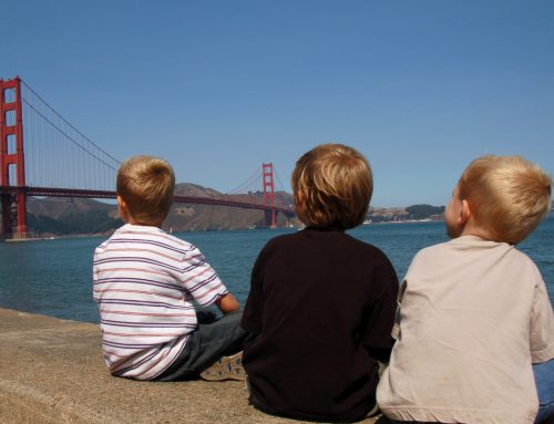 Activities in San Francisco for Babysitters with Kids