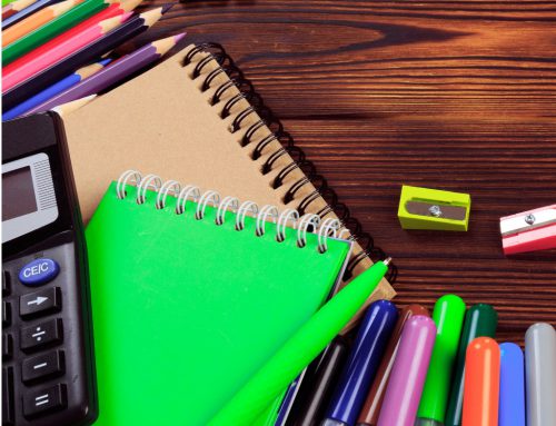 Keep up with the School Curriculum over the Summer