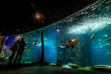 Dallas World Aquarium