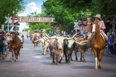 Fort Worth Stockyards