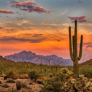 Phoenix & The Valley of the Sun: The Ultimate Desert Getaway