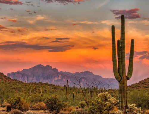 Phoenix & The Valley of the Sun: The Ultimate Desert Getaway