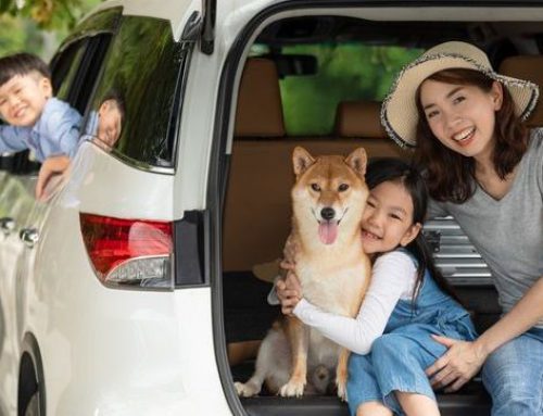 Traveling With Kids and Pets 🐾