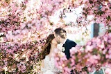 Venue Logic | Weddings | Corporate Events event venue for event childcare and on-site event babysitting in Chicago, IL